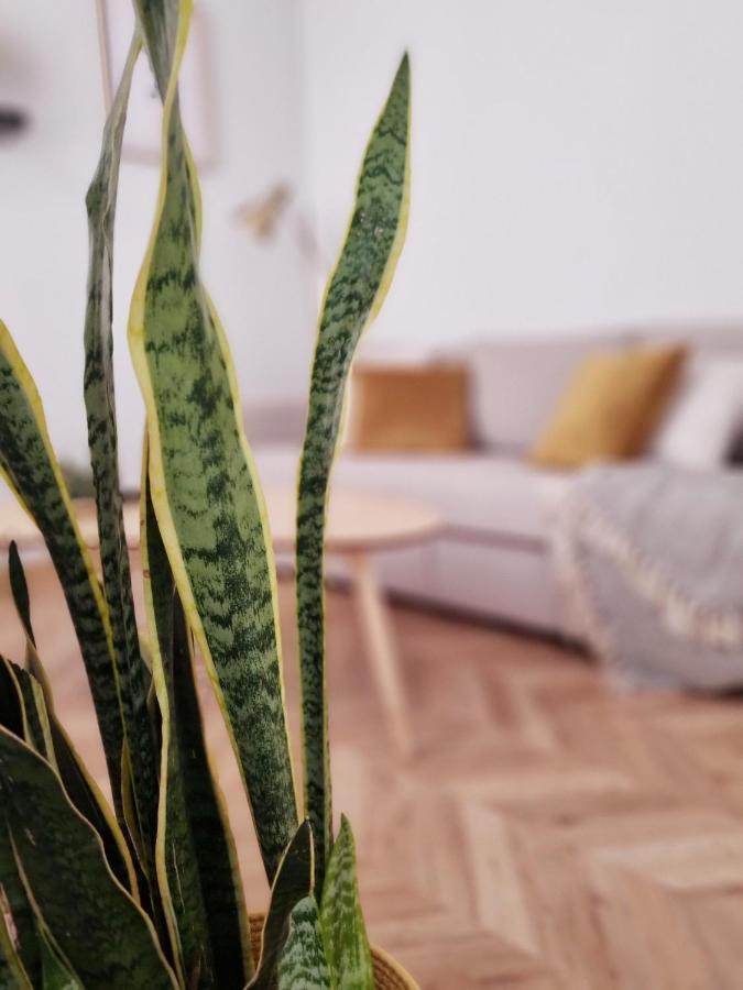 Cozy Apartment In The City Center Granada Exteriör bild